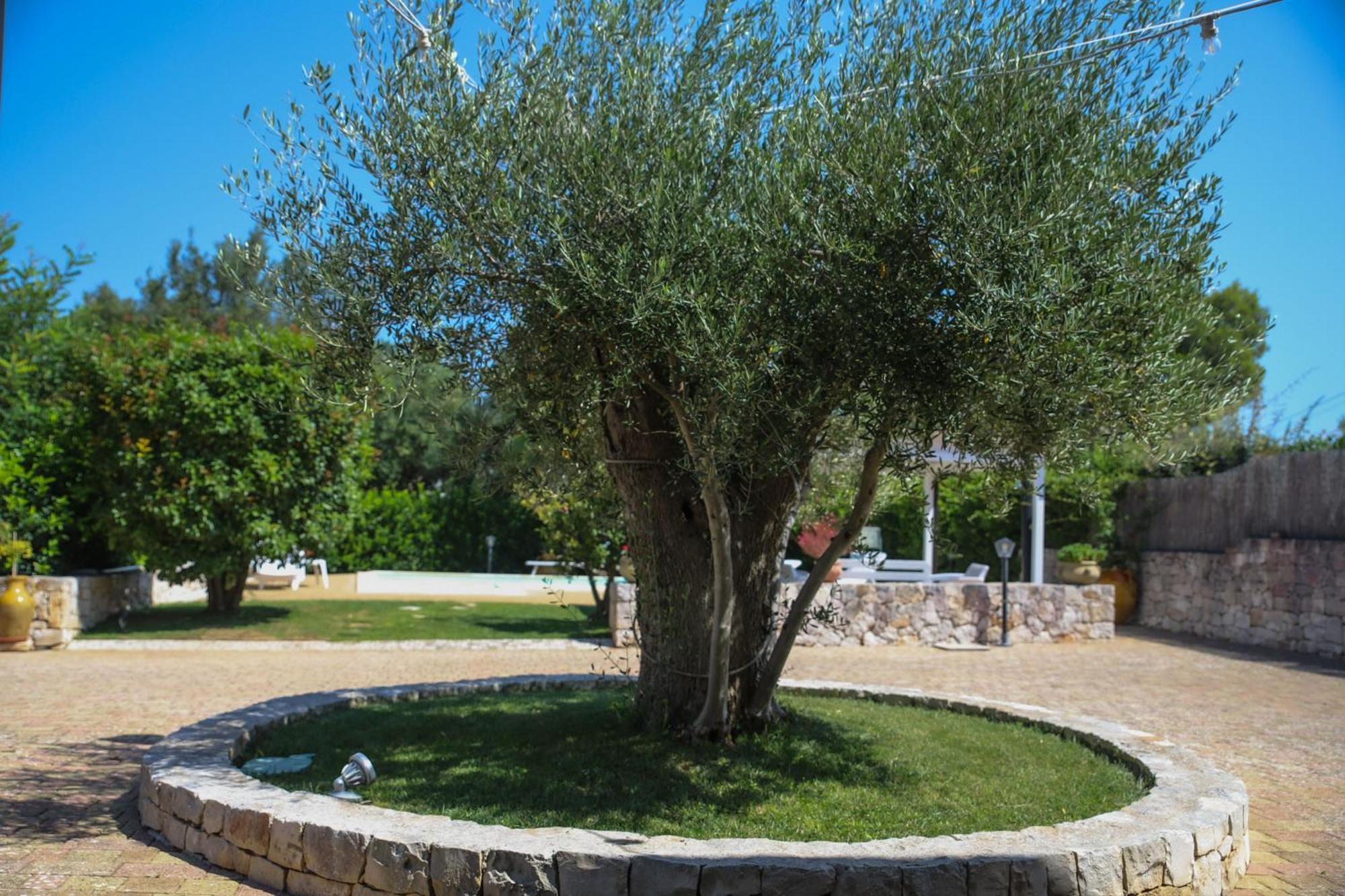 Villa Arisa With Pool Selva Di Fasano Zewnętrze zdjęcie